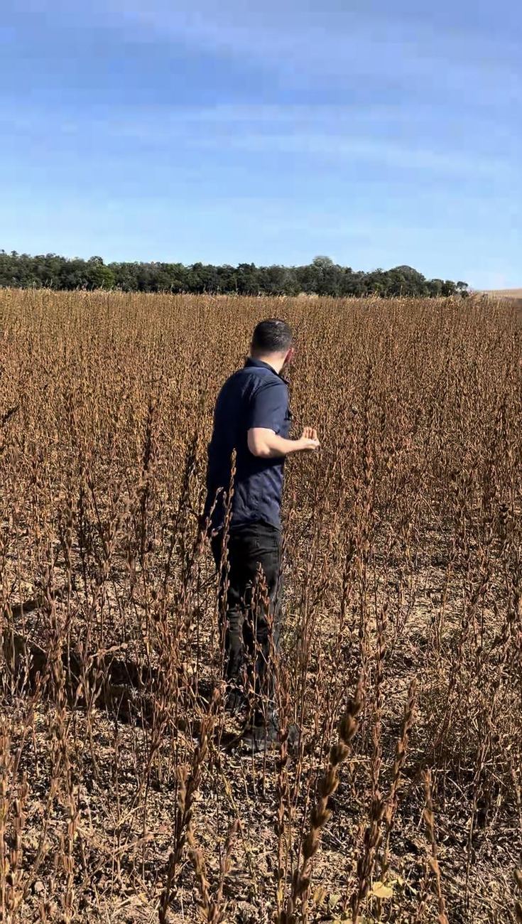 Workers harvesting crops in an agricultural field