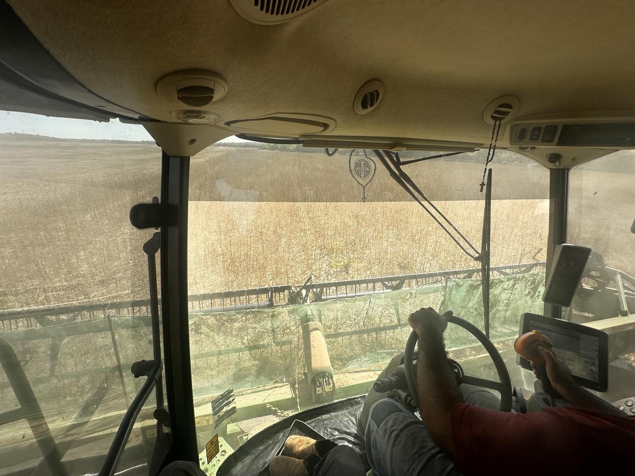 Fresh crop harvest prepared for agricultural trade