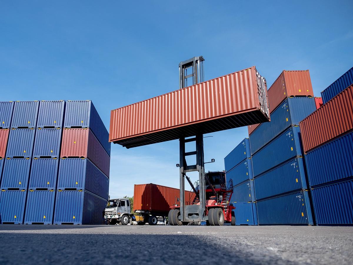 Market ready agricultural produce for shipment and trade