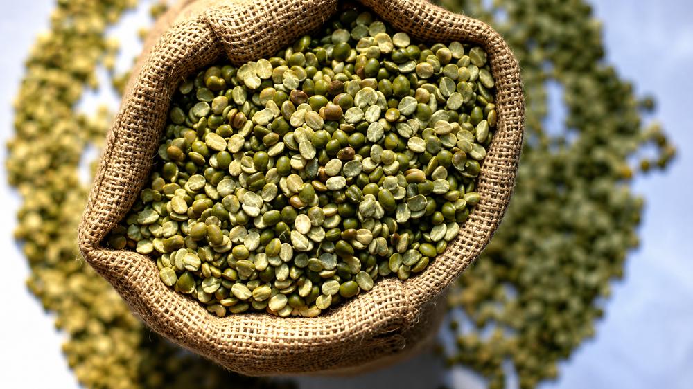 Green lentils supplied in bulk for wholesale and export markets